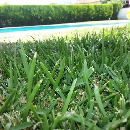 Villa Baleia, Sao Juliao Beach - *