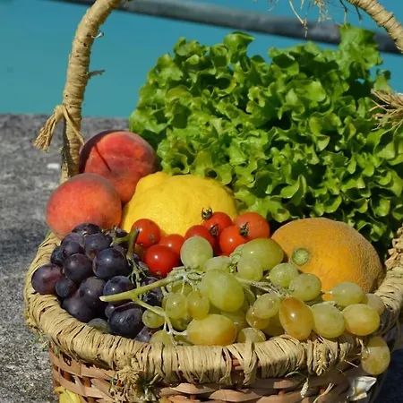Baleia, Sao Juliao Beach -